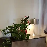 Falcobianco