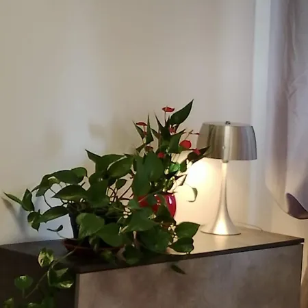 Falcobianco