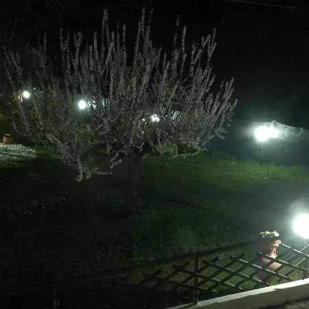 Falcobianco Bed & Breakfast Montefalco