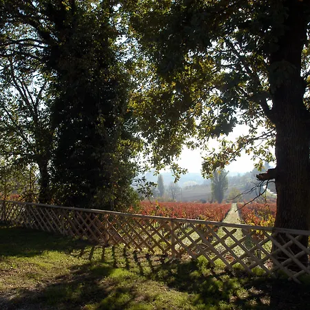 Falcobianco 3* Montefalco