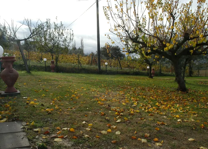 Falcobianco Bed & Breakfast Montefalco