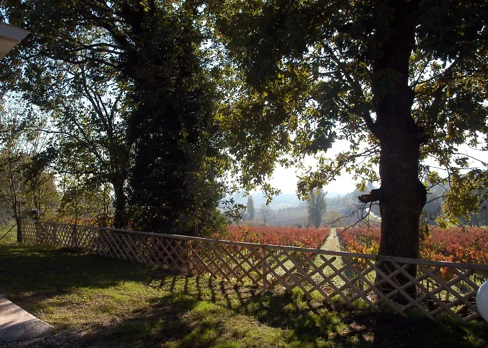 Falcobianco 3* Montefalco