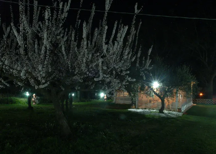 Falcobianco Bed & Breakfast 3*